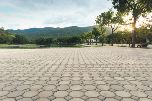 Reasons to Select Us for Your Driveway Paving Requirements in Elma, WA