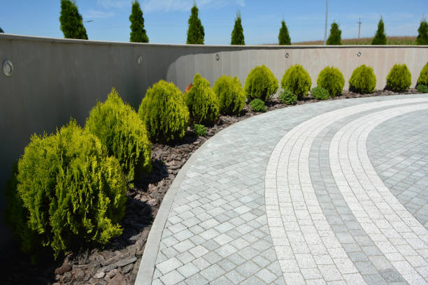 Best Affordable Driveway Pavers  in Elma, WA